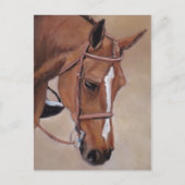 ベイホース動物芸術はがき ポストカード (正面)