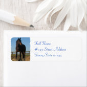 ベイホース差出人住所ラベル ラベル (インサイチュ)