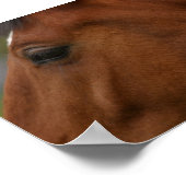 ベイホース閉じる ポスター (角)