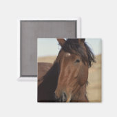 ベイホース風 マグネット (正面/裏面)