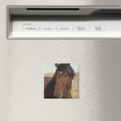 ベイホース風 マグネット (インサイチュ (食洗機))