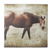 ベイホース タイル (正面)