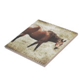 ベイホース タイル (側面)