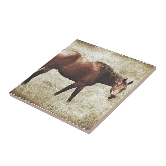 ベイホース タイル (側面)