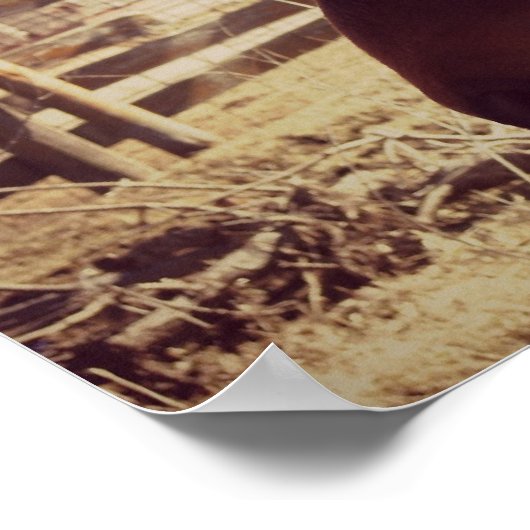 ベイホース ポスター (角)