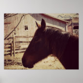 ベイホース ポスター (正面)