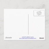 ベイホース ポストカード (裏面)