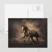 ベイホース ポストカード (正面/裏面)