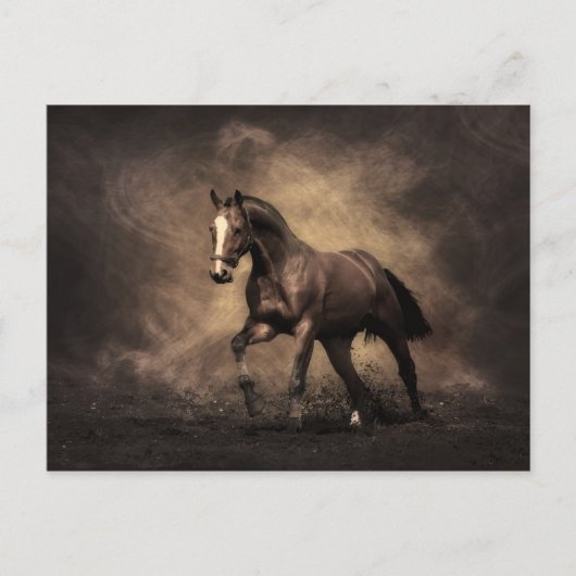 ベイホース ポストカード (正面)