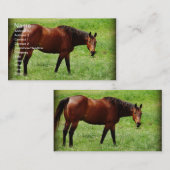 ベイホース 名刺 (正面/裏面)