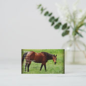 ベイホース 名刺 (スタンド正面)