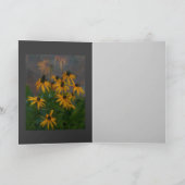 ベイポイントルドベキア カード (内部)