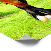 ベイポーランドの飼育馬のペア |緑（横） ポスター (角)