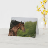 ベイモルガンホースヘッドショットメインフロー カード (黄色い花)