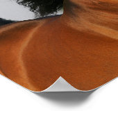 ベイモーガンホースヘッドショットフローリングマネ ポスター (角)