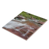 ベイリングクリークの赤い岩 タイル (側面)