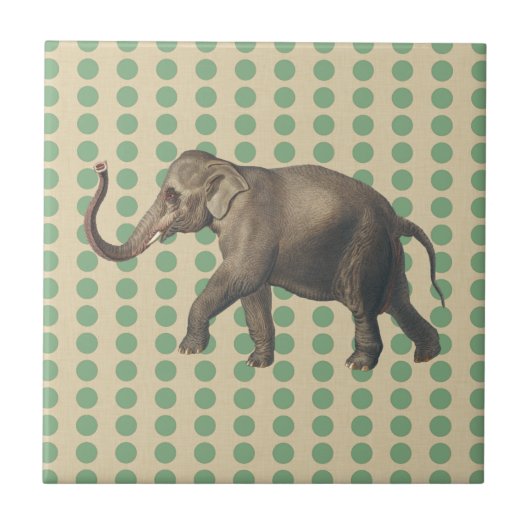 ベイリーフスパイスモーズドットと象 タイル (正面)