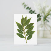 ベイリーフ ポストカード (スタンド正面)