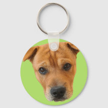 ベイリーボスシャツ