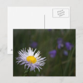 ベイルコロラドロッキーマウンテンワイルドフラワーポストカード ポストカード (正面/裏面)