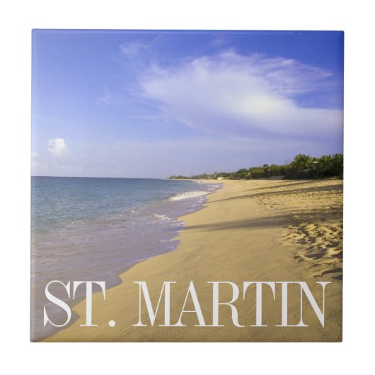 ベイロングベイビーチ、サンマルティン タイル (正面)