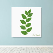 ベイローレルの植物の葉 キャンバスプリント (インサイチュ (ウッドフロア))