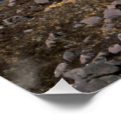 ベインアンアイオンスコットランド ポスター (コーナー)