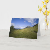 ベインドライン・グリーティングカード カード (黄色い花)
