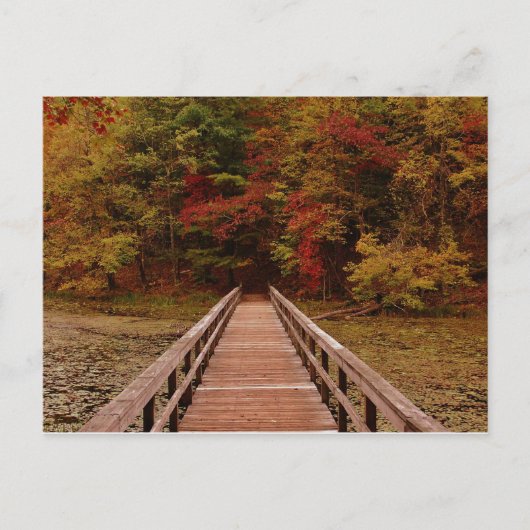 ベイ取り付け時のブリッジ ポストカード (正面)