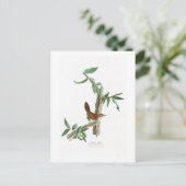 ベウィックのウォーレン・ジョン・ジェームズ・オードボンバーズ・オブ・アメリカ ポストカード (スタンド正面)