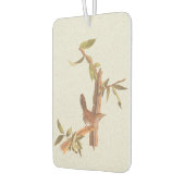 ベウィックの長い尾を持つウォレン・オードボンの孤独な鳥 カーエアーフレッシュナー (左)