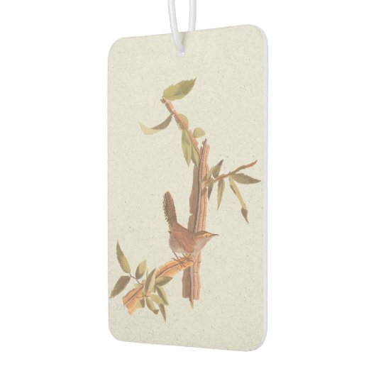 ベウィックの長い尾を持つウォレン・オードボンの孤独な鳥 カーエアーフレッシュナー (左)