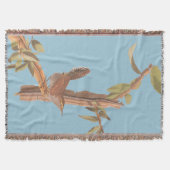 ベウィックの長い尾を持つウォレン・オードボンの孤独な鳥 スローブランケット (正面)