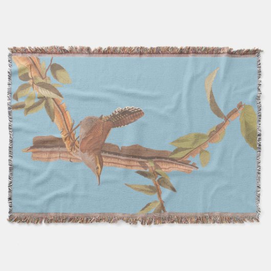 ベウィックの長い尾を持つウォレン・オードボンの孤独な鳥 スローブランケット (正面)
