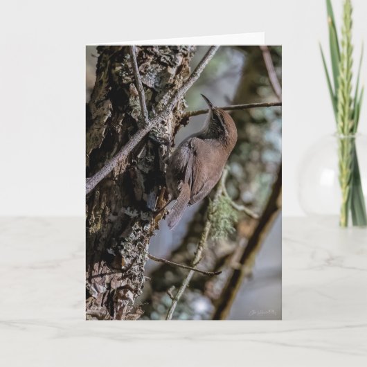 ベウィックスウォレンサンキューカード サンキューカード (正面)