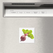 ベエ マグネット (インサイチュ (食洗機))