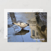 ベオグラードからのはがき ポストカード (正面/裏面)