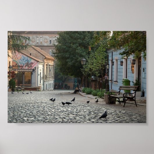 ベオグラードスカダリジャシュルビヤ ポスター (正面)