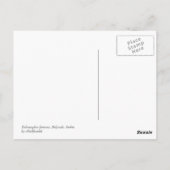 ベオグラード城 ポストカード (裏面)