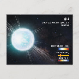 ベガ 輝く星 夏の三角 宇宙 情報グラフィック ポストカード