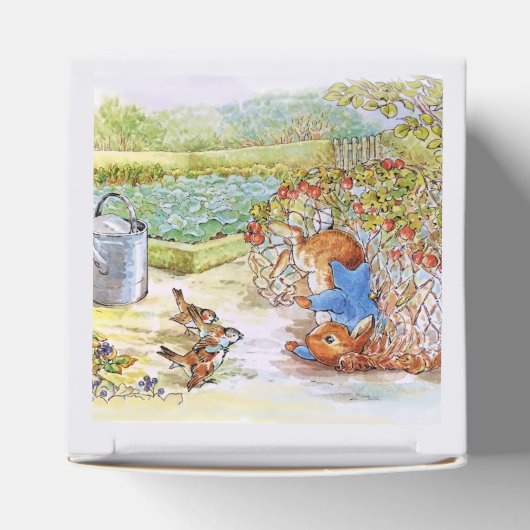 ベギーパッチでタンブルするウサギのピーター フェイバーボックス (上部)