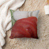 ベギー枕 クッション (ブランケット)