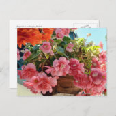 ベゴニアかわいらしの花 ポストカード (正面/裏面)
