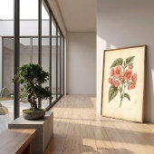 ベゴニアの植物画 - キャンバスアート ポスター