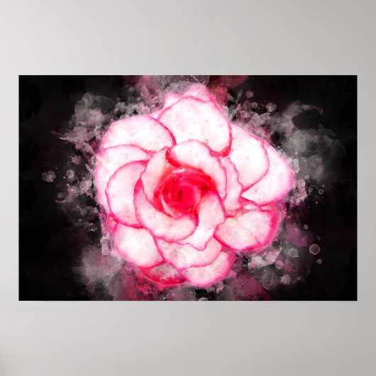 ベゴニアの花の水彩画 - bb1 ポスター (正面)