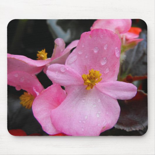 ベゴニアの花,海棠 マウスパッド (正面)