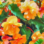 ベゴニアの花 iPad PROカバー<br><div class="desc">黄色かわいらしとピンクのベゴニアの水色。</div>