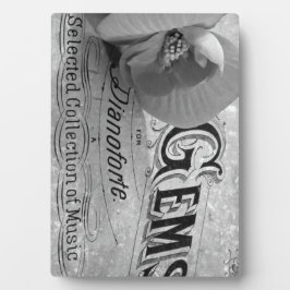 ベゴニアジェムズピアノフォルテ フォトプラーク