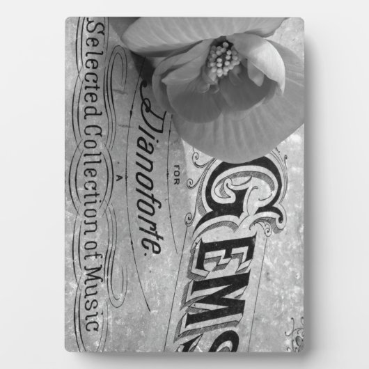 ベゴニアジェムズピアノフォルテ フォトプラーク (正面)