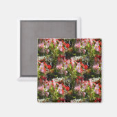 ベゴニアスのフィールド..... マグネット (正面/裏面)